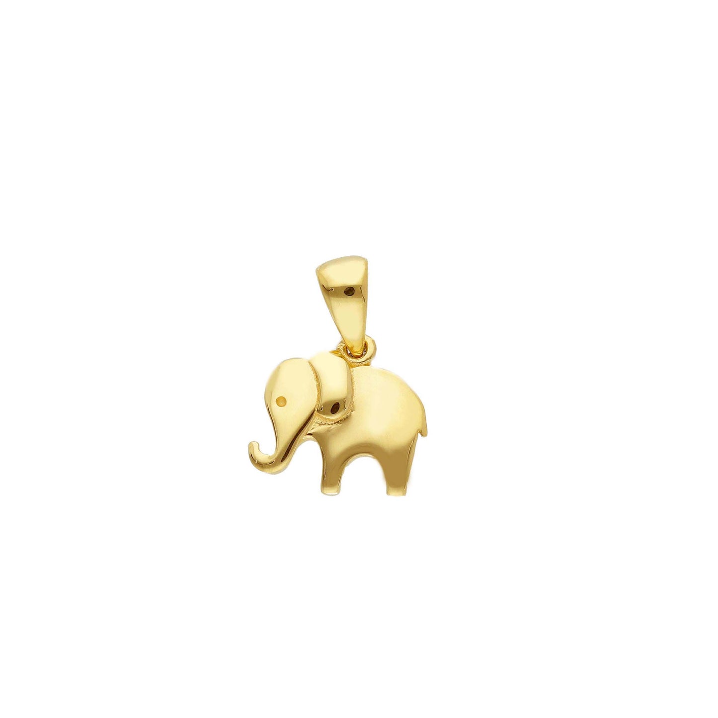 Modello Animal